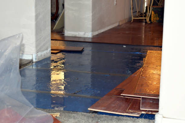 Professional Emergency Water Damage Restoration technician working in Hernshaw, WV